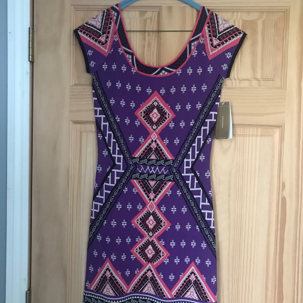 Francesca’s Dress